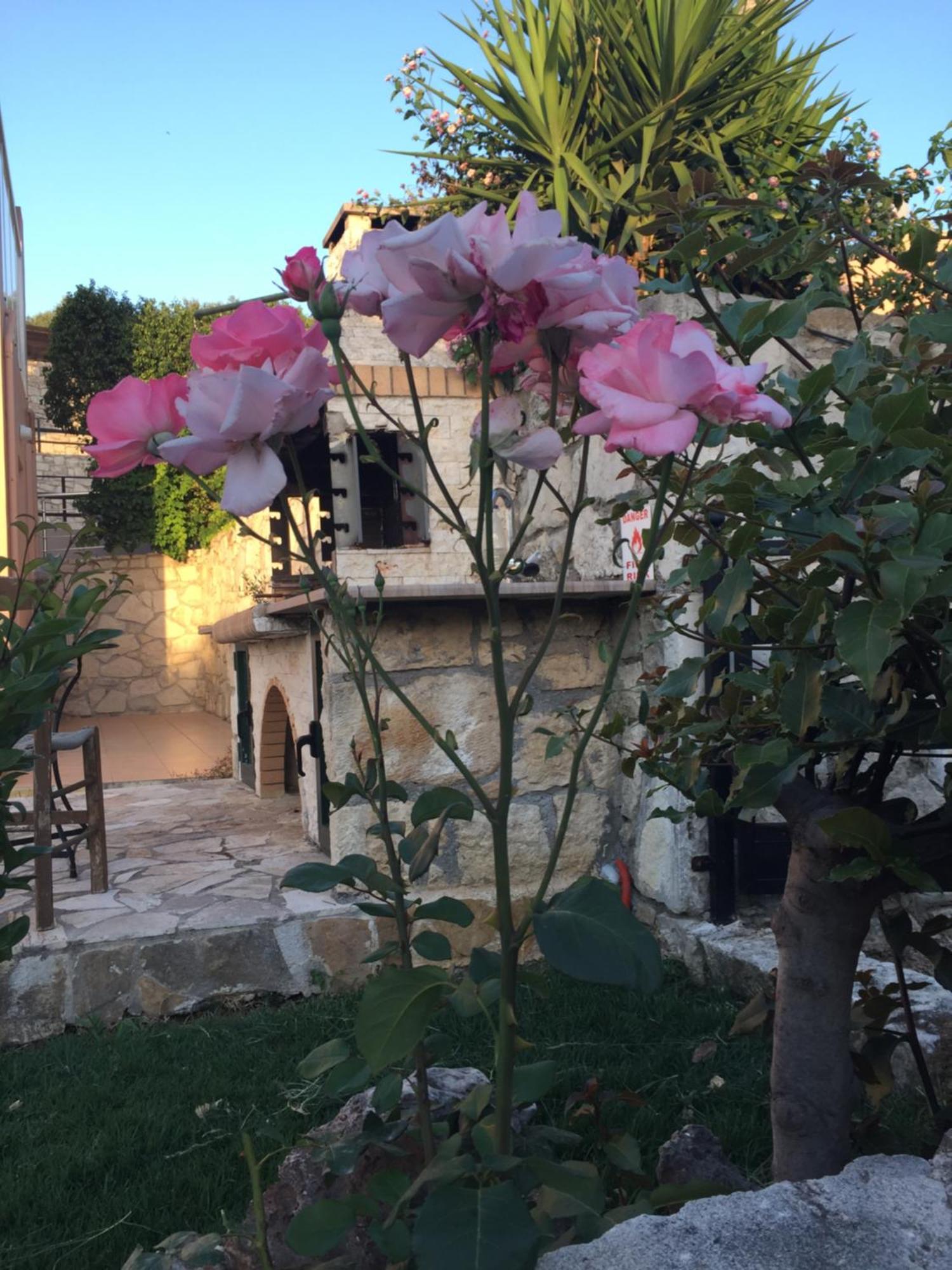 Meliades Villas Agia Marina Extérieur photo