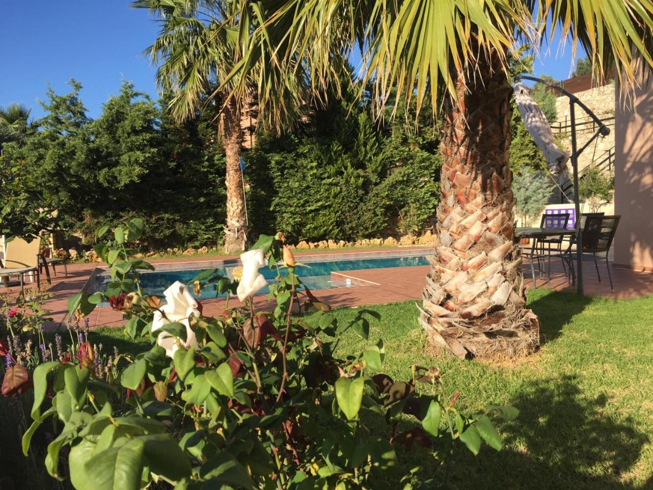Meliades Villas Agia Marina Extérieur photo